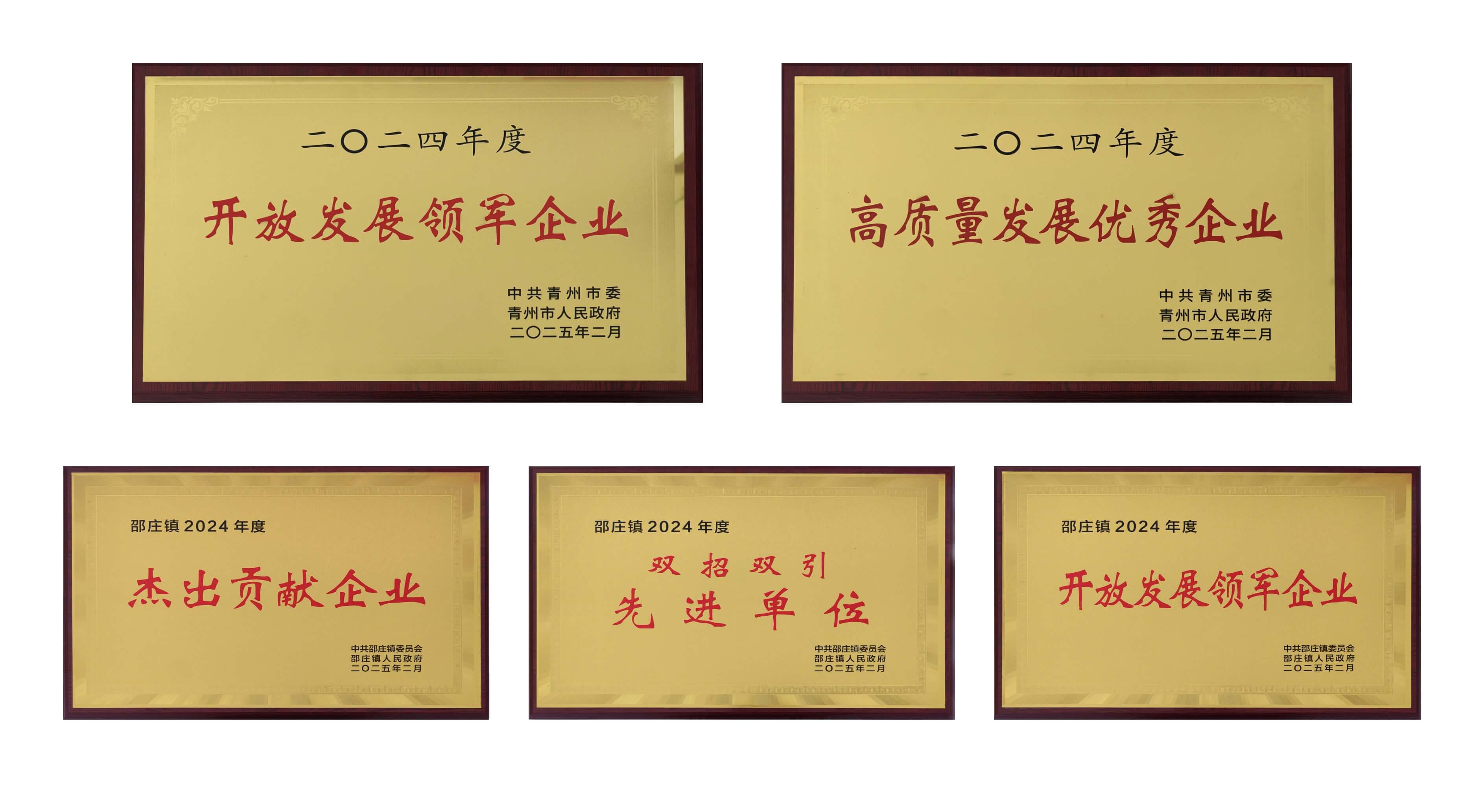 山东UED在线医疗荣获多项殊荣