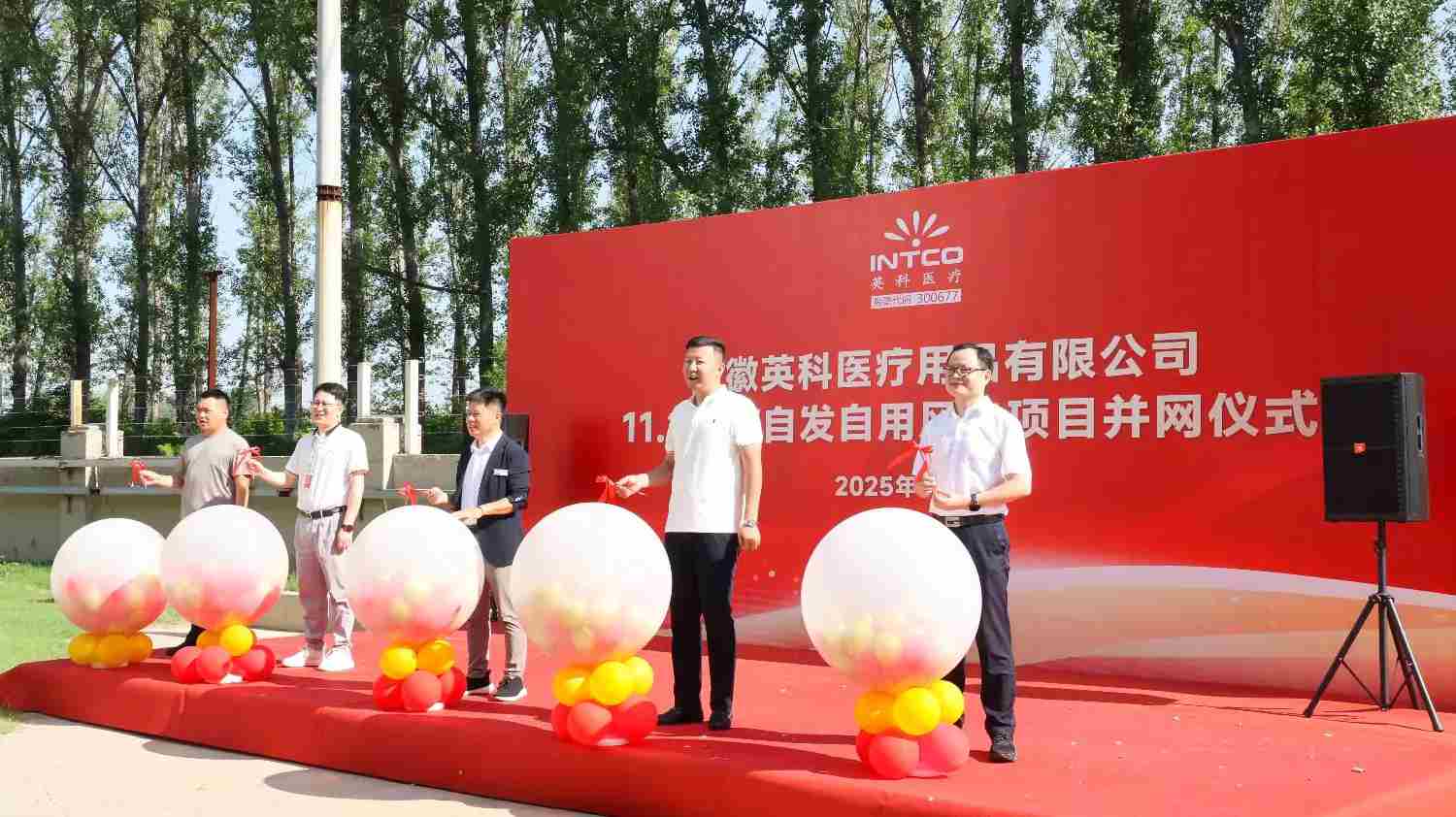 安徽UED在线医疗11.2MW自发自用风电项目成功并网